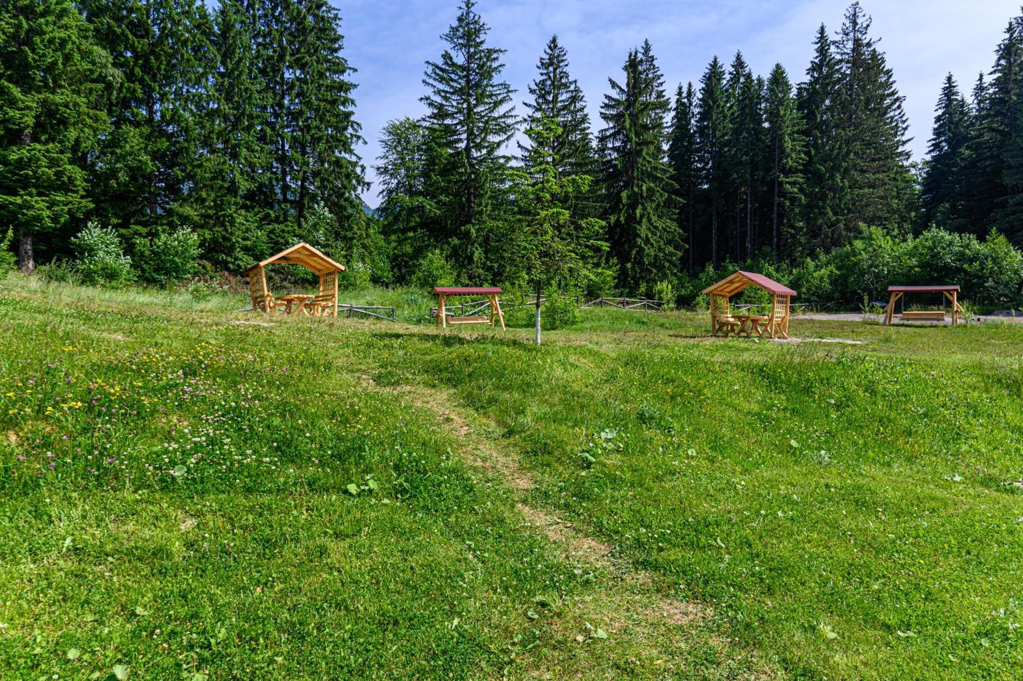 Apartment "Mountain Relax" Poiana Brasov Eksteriør billede